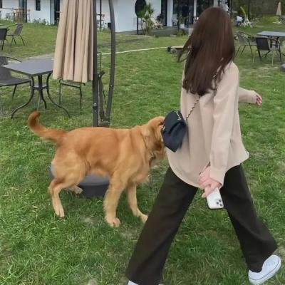 羊与钢的森林